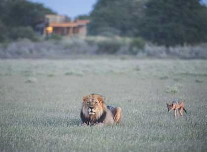 Kalahari Game Reserve